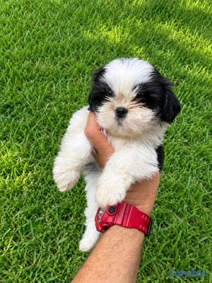 seller-logo