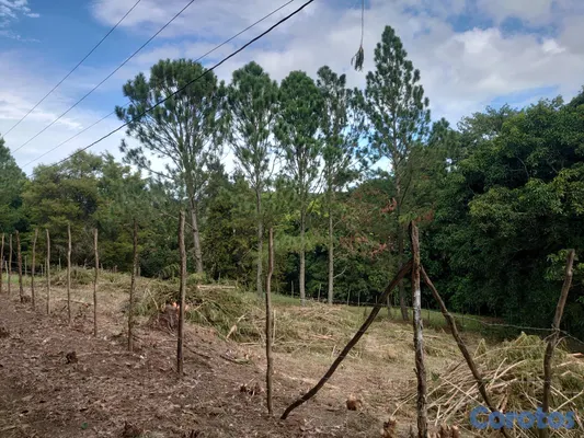 solares y terrenos - SOLAR EN VENTA EN JARABACOA 10