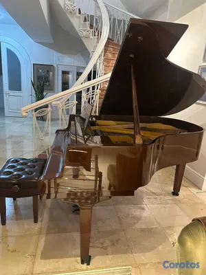 instrumentos musicales - Piano de Cola PETROF Modelo IV – Checo – Nogal Pul 2