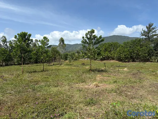 solares y terrenos - Venta de terreno en Los Mogotes, a solo 30 minutos de Santo Domingo. 4