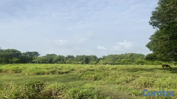 solares y terrenos - FINCA EN LA MISMA CARRETERA MONTE PLATA 2