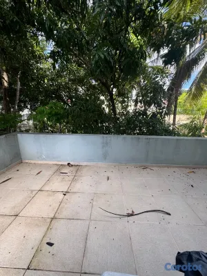 apartamentos - vendo Gazcue segundo nivel con terraza 4 habitaciones 2.5 baños dos parqueos  13