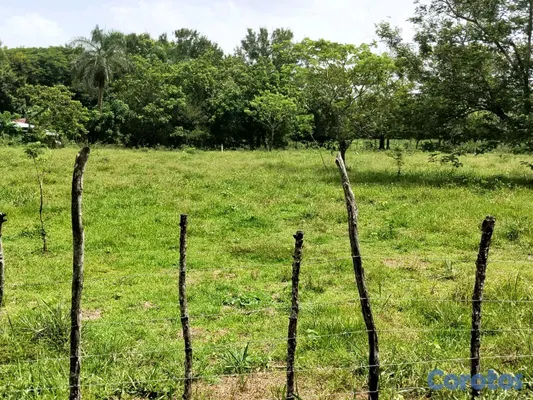 solares y terrenos - finca de 3000 tareas con vocación agrícola en Monte Plata  14