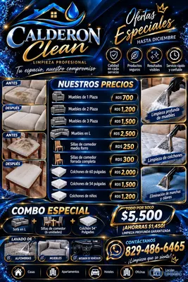muebles y colchones - limpieza de tapizados.  2