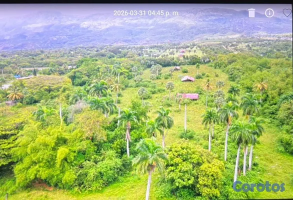solares y terrenos - Terreno 24,972 m² próximo a Circunvalación Norte – 3