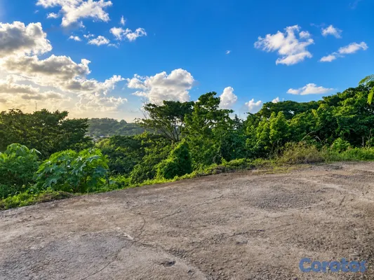 solares y terrenos - Solar 1,523 m² con vista panorámica en Pueblecito, Las Terrenas – US$122,000 5