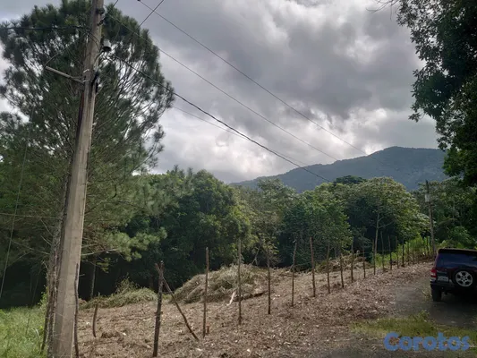 solares y terrenos - SOLAR EN VENTA EN JARABACOA 4