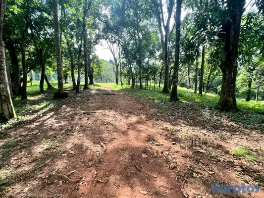 solares y terrenos - finca de criadero de animales en maimon 12