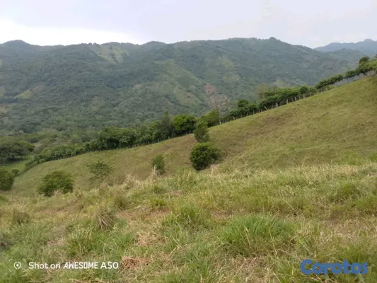 solares y terrenos - finca de 450 tareas con vocación ganadera en yamasa  5