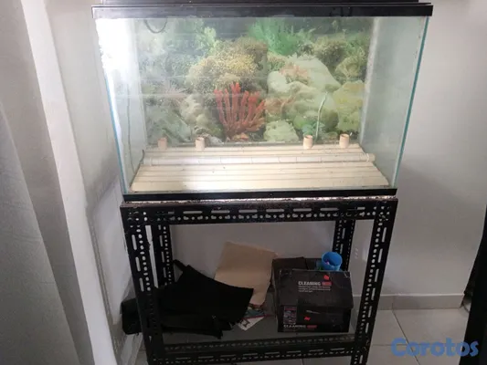 animales y mascotas - Pecera de 30 galones con su tapa y junto a su mesa.  3