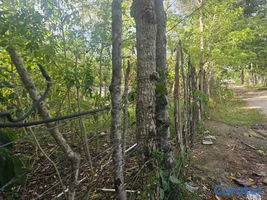 solares y terrenos - Terreno En Venta En La Joya, San Francisco De Maco 3