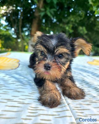 seller-logo