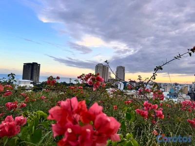 ALQUILER APTO.GASCUE