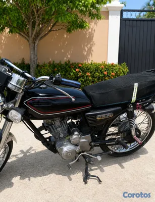 motores y pasolas - motor cg 150 3