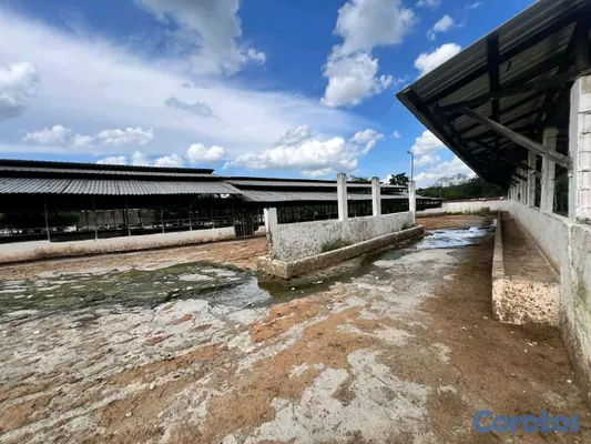 solares y terrenos - finca de criadero de animales en maimon 20