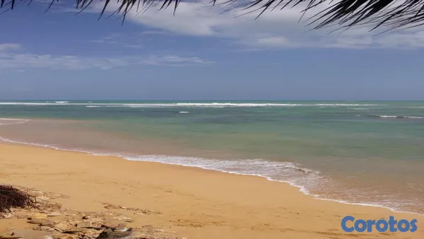 solares y terrenos - VENDO en primera linea de playa, Uvero Alto 4