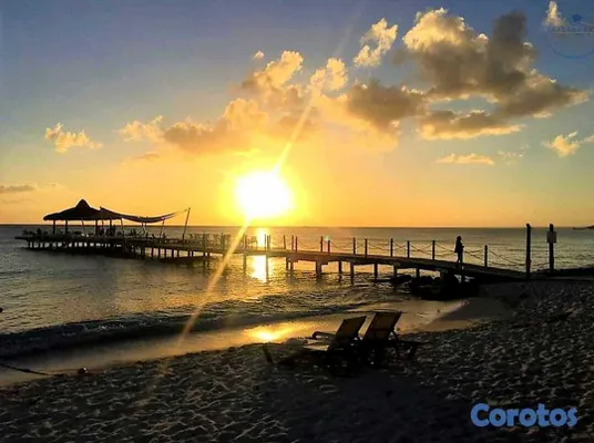 apartamentos - Moderno apartamento Alquiler en Bayahibe ID 3110 2