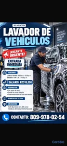 Lavador de vehículos 