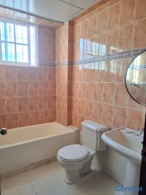 apartamentos - Apartamento en Alquiler en Bella Vista | Ideal para Vivienda u Oficina. 6