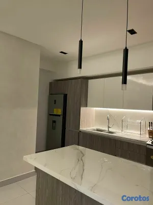 apartamentos - Apartamento amueblado en alquiler en naco 10