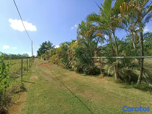solares y terrenos - Propiedad En Los Mogotes, Villa Altagracia A Solo  7