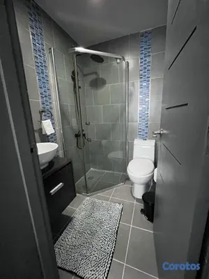 apartamentos - Alquiler de Apartamento Amueblado en Naco 9