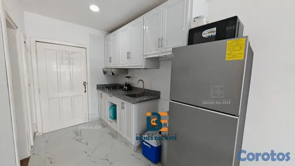 apartamentos - Se RENTA apartamento de una habitacion amueblado e 7