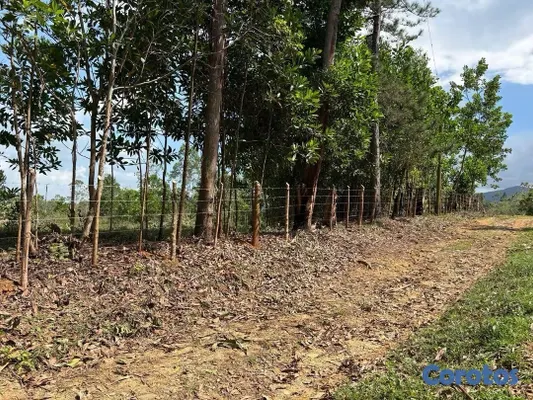 solares y terrenos - Los mogotes, Villa Altagracia. Terreno para construir la villa de tus sueños. 9