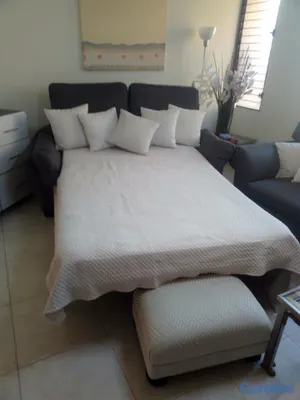 muebles y colchones - Sofa cama de 2 , Queen , Importado 11