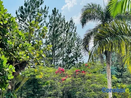 otros inmuebles - Casa en venta en las montañas de Monseñor Noel Bon 4
