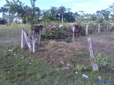 Terreno en Sabaneta de Yasica a 7 minutos de cabar