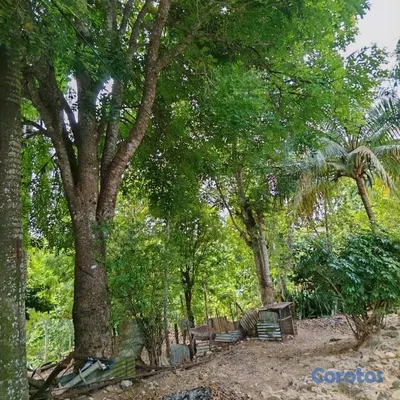 solares y terrenos - Vende Finca en Ramón Santana. 📍San Pedro de Macorí 8