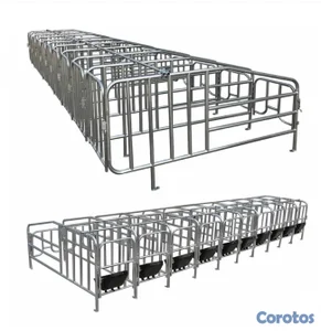 JAULA GESTACIÓN CERDO