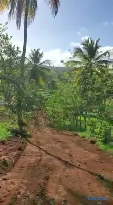 solares y terrenos - TERRENO EN VENTA | CARRETERA SAMANÁ–LAS GALERAS 3