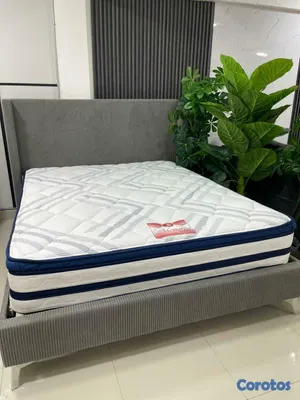 muebles y colchones - COLCHON PILLOW TOP REX QUEEN 60X74 2
