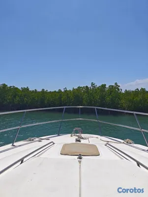 botes - Yate Sea Ray Sedan bridge 58" (Monte Cristi) Excelente Estado 3