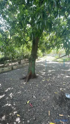 casas - Oportunidad de crear el  hábitat de sus sueños! 3