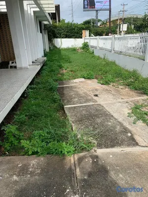 casas - Local en venta Naco 9