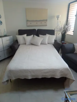 muebles y colchones - Sofa cama de 2 , Queen , Importado 5