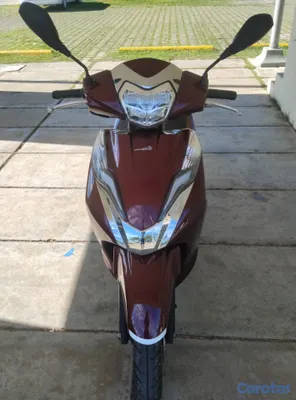 motores y pasolas - Cómo nueva Pasola MotorBison 2025 $84,500 2