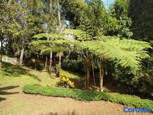 solares y terrenos - SE VENDE HERMOSA FINCA EN EL CACAO de San Cristoba 13