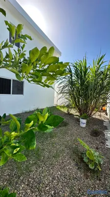 casas - Casa en renta sin Amueblar  6