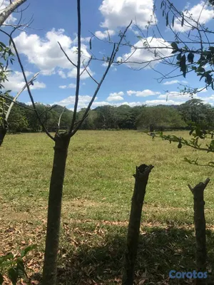 solares y terrenos - TERRENO EN ALQUILER CON OPCIÓN A COMPRA – PULGARÍN 5