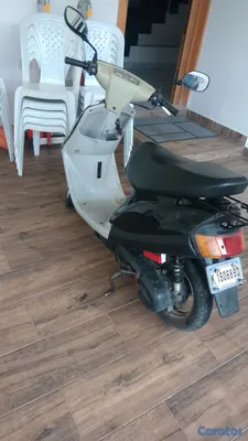 motores y pasolas - pasola artitica 2