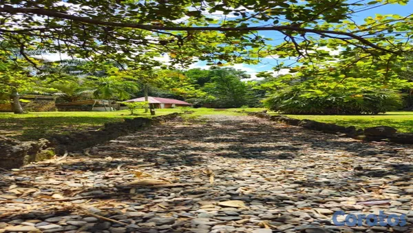 solares y terrenos - 🌿✨ ¡Finca Ecoturística en San Antonio de Guerra! ✨🌿 10