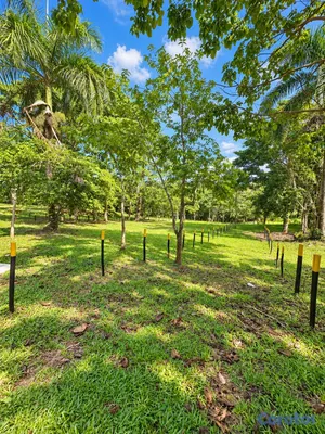 solares y terrenos - Solar 541 m2 en Las Terrenas, listo para construir

Precio: US$43,318 4
