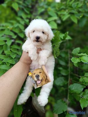 seller-logo