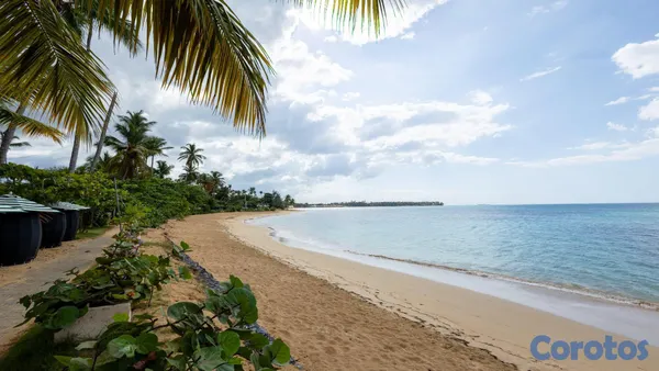 apartamentos - 🌴 Cómodo Apartamento a Pasos del Mar – ¡Disponible para Renta Mensual! 🌊 6