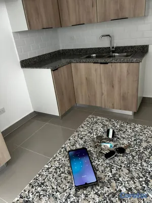 apartamentos - 🏠 APARTAMENTO EN ALQUILER – SAN ISIDRO 🔑 10