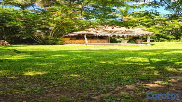 solares y terrenos - 🌿✨ ¡Finca Ecoturística en San Antonio de Guerra! ✨🌿 8